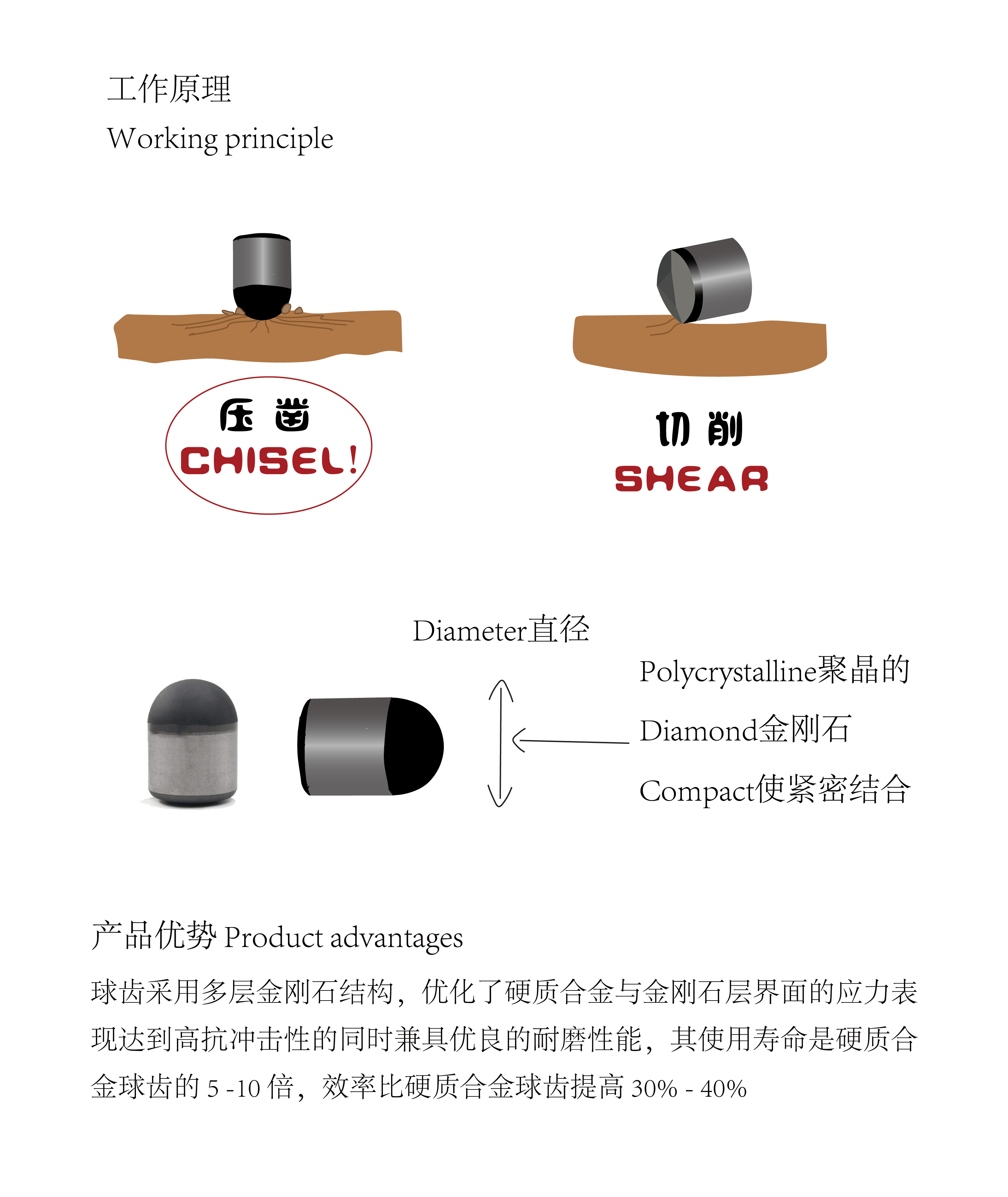 球齿(图3)